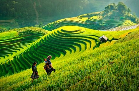 foto de Paisajes de Vietnam y Camboya