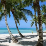 Punta Cana desde Salta